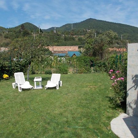 Clisura Dunarii - Danubian Border Berzasca Ngoại thất bức ảnh